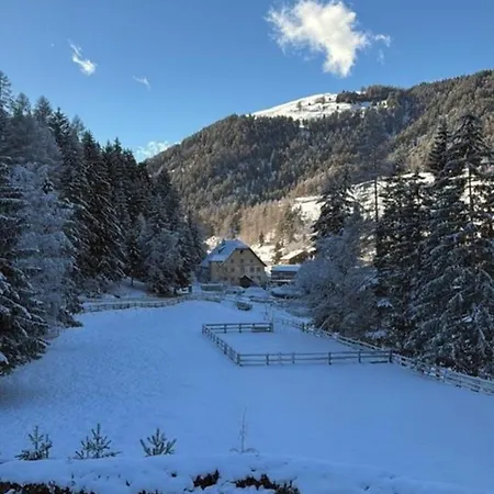 Daire Dackel Nauders