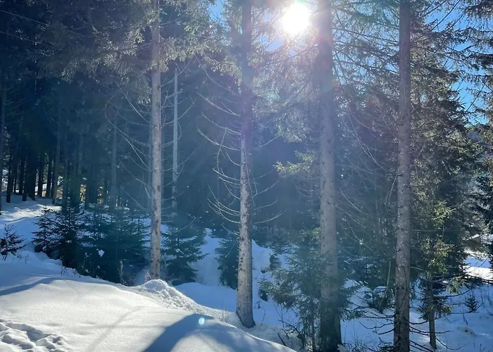 Dackel アパート ナウダース