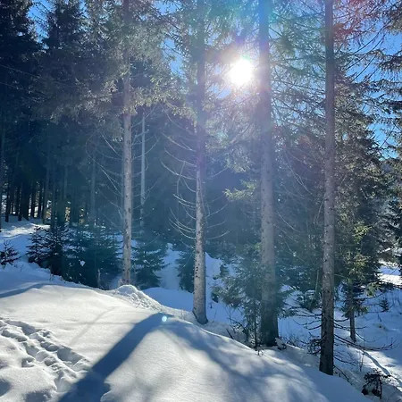 Dackel Apartman Nauders