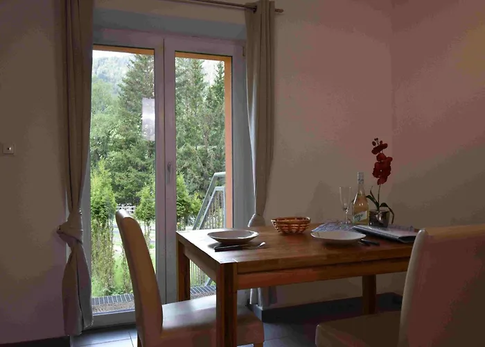 Apartment Dackel